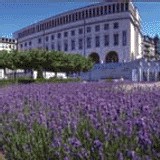Bruxelles : le Palais des Congrès fin prêt pour 2009 ? Bruxelles : le Palais des Congrès fin prêt pour 2009 ?