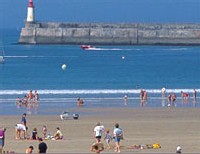 La Vendée tire son épingle du jeu en 2005