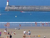 La Vendée tire son épingle du jeu en 2005 La Vendée tire son épingle du jeu en 2005