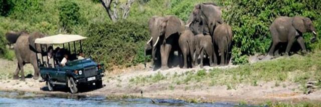 Safari Botswana 10 jours individuel 2011 vol régulier au départ de france et de Belgique 