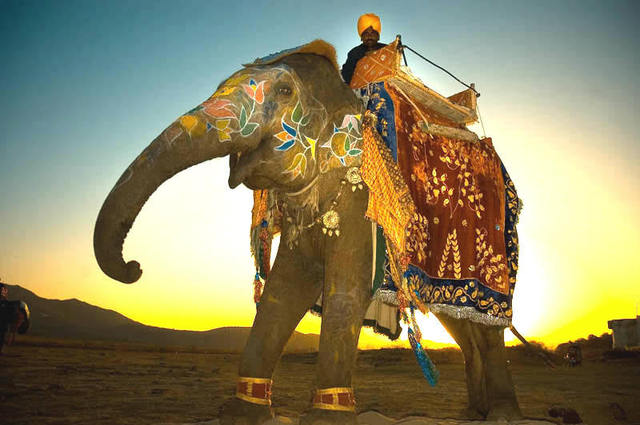 Le Rajasthan, une destination qui trompe énormément... lorsque le voyagiste n'a pas réglé les prestataires ? Le Rajasthan, une destination qui trompe énormément... lorsque le voyagiste n'a pas réglé les prestataires ?