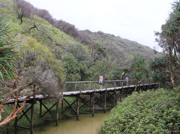 On vient à Fraser Island pour apprécier l’environnement unique de cette île « hors du monde », jetée à la face d’un Pacifique rugissant - DR : J.-F.R. On vient à Fraser Island pour apprécier l’environnement unique de cette île « hors du monde », jetée à la face d’un Pacifique rugissant - DR : J.-F.R.