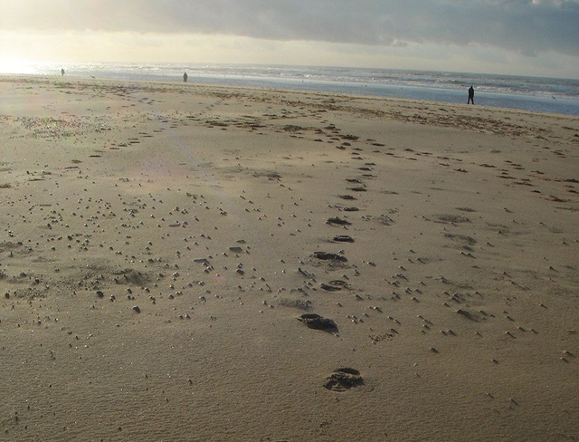 DR Photo Libre DR Photo Libre