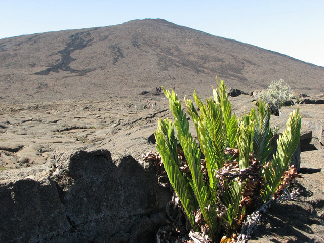 Piton de la Fournaise - DR Anaïs Borios