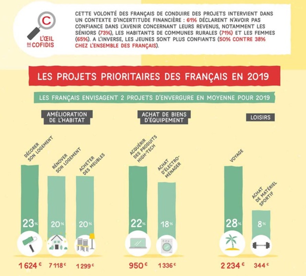 L'infographie de Cofidis sur les projets des Français en 2019 - Crédit photo : Cofidis L'infographie de Cofidis sur les projets des Français en 2019 - Crédit photo : Cofidis