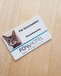 Pál dispose même de sa carte d’employée - DR : FossHotel Pál dispose même de sa carte d’employée - DR : FossHotel