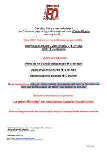 Le tract de la délégation SNEPAT-FO - DR Le tract de la délégation SNEPAT-FO - DR