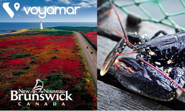 Jeu concours : Voyamar lance un quiz sur le Nouveau Brunswick Jeu concours : Voyamar lance un quiz sur le Nouveau Brunswick