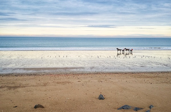 Expédia : la Normandie et la Nouvelle Aquitaine ont été les plus dynamiques en fin d'année 2018