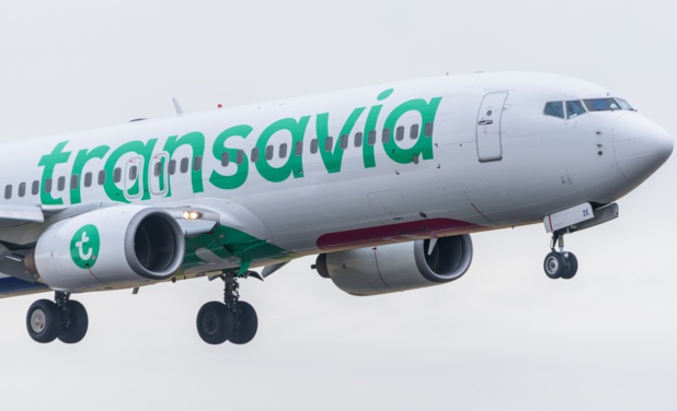 L’année 2019 devrait être synonyme pour la compagnie low cost de décision sur le renouvellement de sa flotte © Transavia