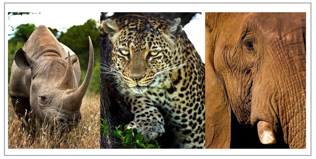 WILD SPIRIT SAFARI, LA TANZANIE EN BIVOUAC GRAND CONFORT. WILD SPIRIT SAFARI, LA TANZANIE EN BIVOUAC GRAND CONFORT.