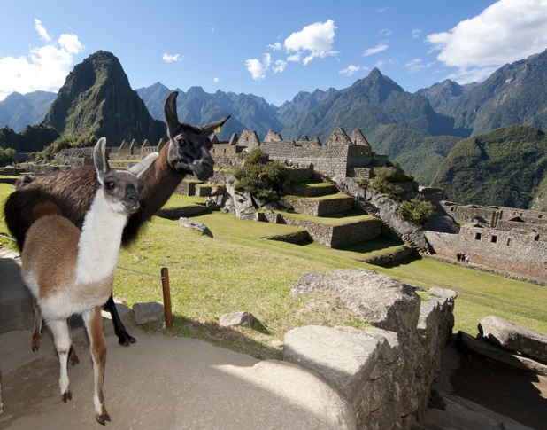 L'OT du Pérou présentera les nouvelles modalités d'accès au Sanctuaire Historique du Machu Picchu - DR Pérou L'OT du Pérou présentera les nouvelles modalités d'accès au Sanctuaire Historique du Machu Picchu - DR Pérou