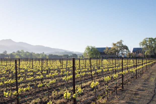 Sonoma © AFAR / VISIT CALIFORNIA. Sonoma © AFAR / VISIT CALIFORNIA.