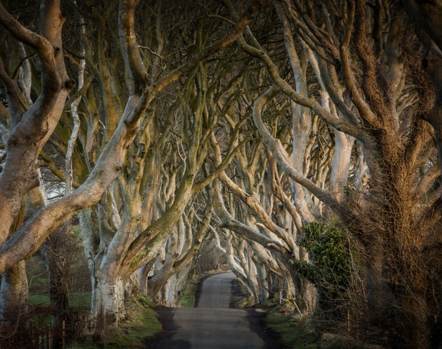 Au-delà de l'audience qu'elle génère, la série est aussi une exceptionnelle vitrine pour les destinations qui accueillent les tournages © Northern Ireland Tourist Board