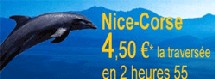 La SNCM envahit les ondes La SNCM envahit les ondes