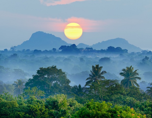 Les autorités sri lankaises ont-elles été négligentes en matière de sécurité ? La paix chèrement acquise et qui durait depuis près de 10 ans a-t-elle fait oublier les fondamentaux aux pouvoirs publics ? - Photo Depositphotos.com Auteur Sergieiev