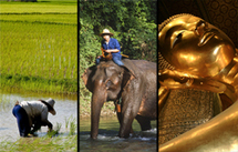 Siam Panoramic Siam Panoramic