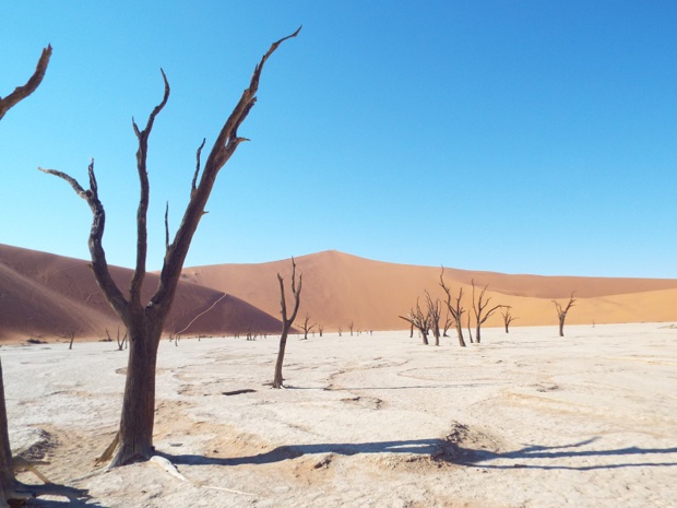 Nouveauté 2019, l’agence de voyage en-ligne Echappée australe propose de découvrir Sossusvlei en Namibie. – DR Echappée australe
