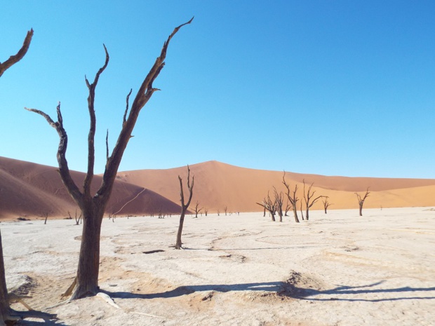 Nouveauté 2019, l’agence de voyage en-ligne Echappée australe propose de découvrir Sossusvlei en Namibie. – DR Echappée australe Nouveauté 2019, l’agence de voyage en-ligne Echappée australe propose de découvrir Sossusvlei en Namibie. – DR Echappée australe