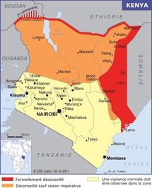 Kenya : des ventes en hausse en 2011 malgré le contexte géopolitique
