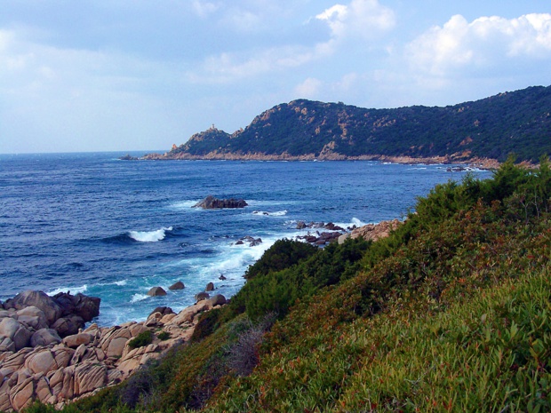 Dans la région d'Ajaccio /crédit photo JDL