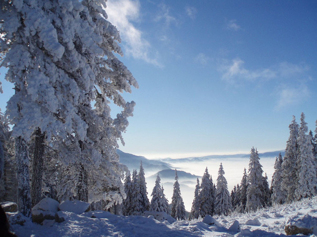 Les amoureux de poudre blanche veulent avoir de la neige à tout prix. C’est pourquoi leur choix se porte en premier lieu vers les grands domaines de haute altitude, où ils seront certains de trouver toute la poudreuse nécessaire pour s’adonner à leur passion  - Photo-libre.fr