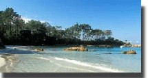 Nice/Corse : la SNCM et Corsica Ferries relancent la concurrence Nice/Corse : la SNCM et Corsica Ferries relancent la concurrence