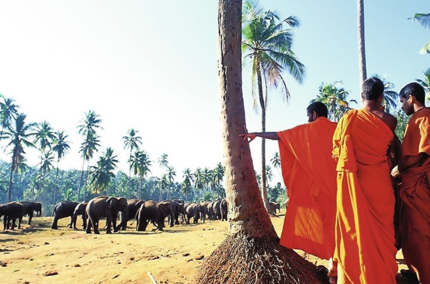 Circuit au Pays de l'Or vert - DR Circuit au Pays de l'Or vert - DR