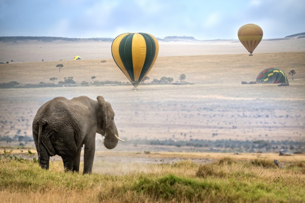 La brochure sera toujours annuelle, et sera étoffée de plusieurs destinations, que ce soit en à la carte ou en circuits accompagnés. - Photo DR