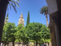 On savoure en premier les charmes de la cour des orangers - DR : J.-P.C. On savoure en premier les charmes de la cour des orangers - DR : J.-P.C.