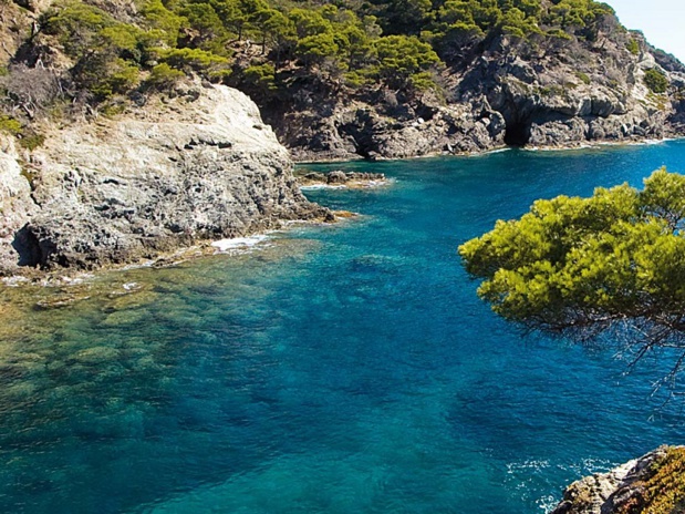 Les îles d’Or au large de Hyères (Var) sont un vaste parc naturel – crédit photo les bateliers de la côte d’azur