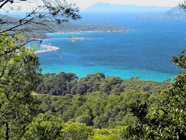 Le port de Porquerolles, joyau méditerranéen – crédit photo : Mio Palmo Plongée