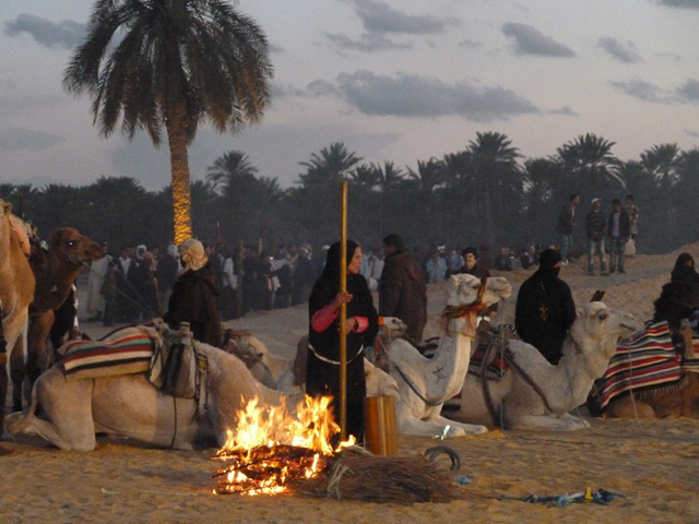A Tozeur les oasis se fêtent en décembre - Photo MS A Tozeur les oasis se fêtent en décembre - Photo MS
