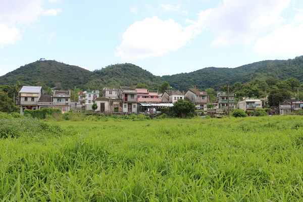 Hong Kong n'est pas seulement une succession de tours, il existe aussi des villages et des campagnes - Crédit photo : Jean-François Rust