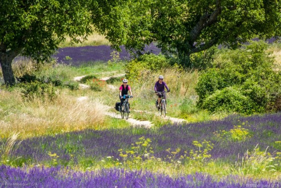 La Provence terre bénie du vélo à assistance électrique - GTA