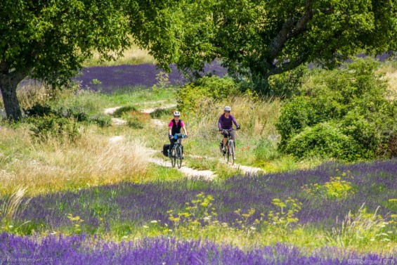 La Provence terre bénie du vélo à assistance électrique - GTA La Provence terre bénie du vélo à assistance électrique - GTA