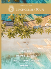 Collection 2020 Collection 2020