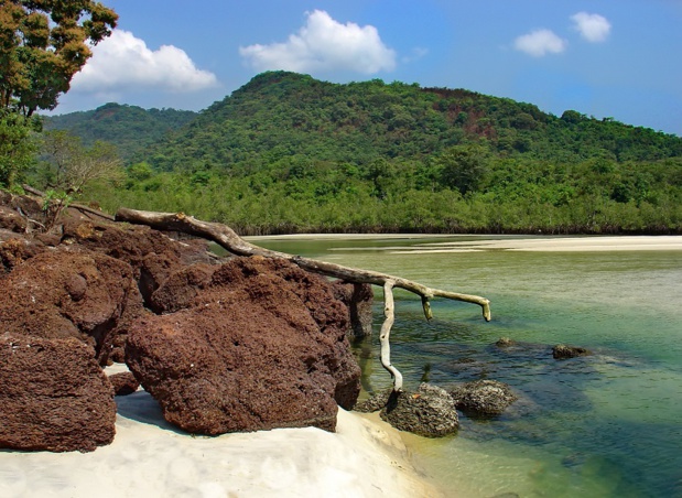 Photo: @WikimediaCommons Photo: @WikimediaCommons