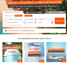 Le site de Misterfly - DR Le site de Misterfly - DR
