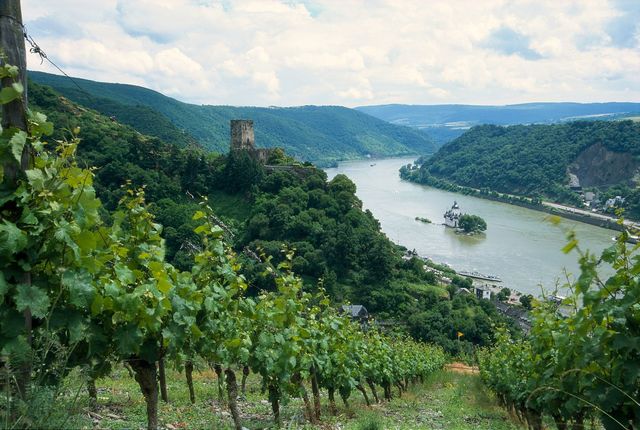 L'Allemagne veut profiter de ses vignobles, comme celui de Mittelrheintal en photo ci-dessus, pour séduire les voyageurs - DR