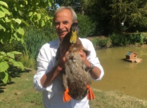 La case de l’Oncle Dom : TUI France, les piliers… de la sagesse ? La case de l’Oncle Dom : TUI France, les piliers… de la sagesse ?