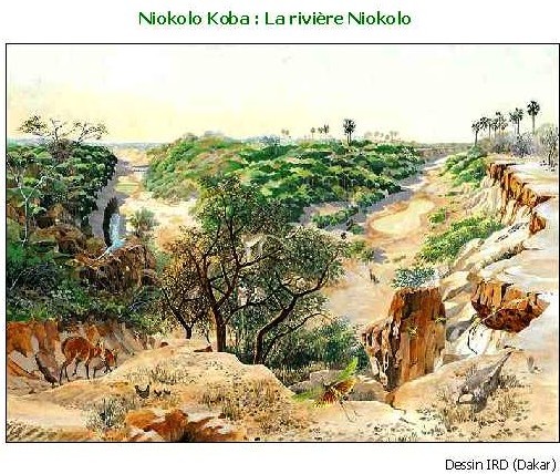 Sénégal : réhabilitation du Parc National du Niokolo-Koba Sénégal : réhabilitation du Parc National du Niokolo-Koba