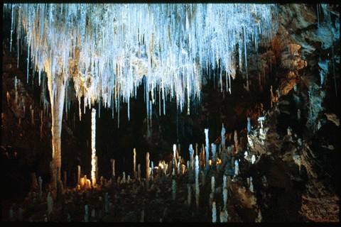 Grotte de Clamouse