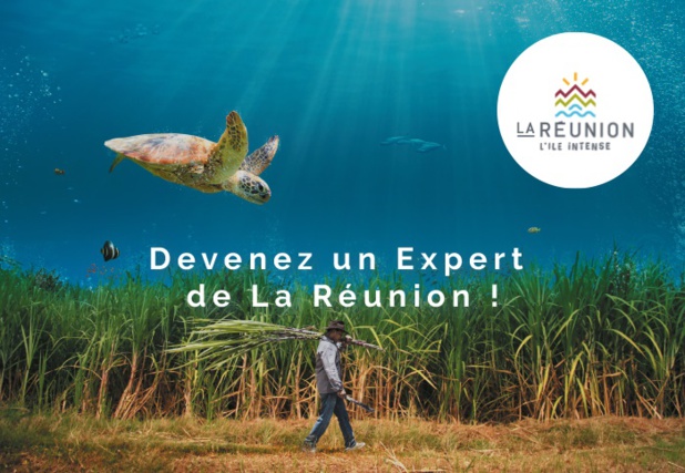 Quatre modules de formation sur quatre thématiques seront accessibles en ligne depuis la plateforme dédiée. Ils seront composés d'un webinaire, d'un e-learning et d'un quiz - DR Quatre modules de formation sur quatre thématiques seront accessibles en ligne depuis la plateforme dédiée. Ils seront composés d'un webinaire, d'un e-learning et d'un quiz - DR