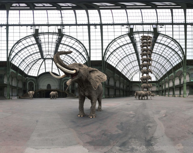 Le Grand Palais et sa fameuse verrière, la plus grande d'Europe. Elle accueille 12 éléphants superposés - Photo FlyView