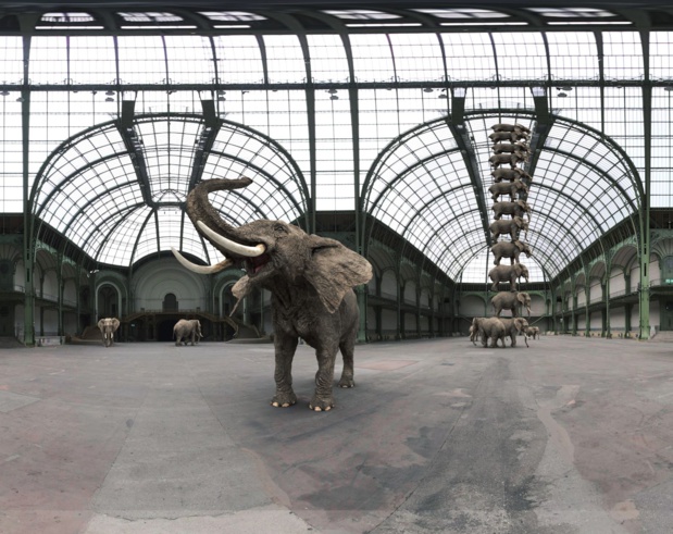 Le Grand Palais et sa fameuse verrière, la plus grande d'Europe. Elle accueille 12 éléphants superposés - Photo FlyView Le Grand Palais et sa fameuse verrière, la plus grande d'Europe. Elle accueille 12 éléphants superposés - Photo FlyView
