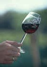 ''Rendez-Vous France'' : in vino veritas... ''Rendez-Vous France'' : in vino veritas...