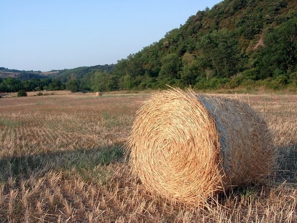 Grâce au dernier sondage du ministère de l’agriculture datant de 2010, on sait que sur 514 742 exploitations agricoles en France, 9 738 exercent une activité d’hébergement et 2 575 proposent des offres de restauration./photo JDL