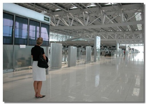D'une capacité d’accueil de 45 millions de passagers par an pour la 1ère tranche, il devrait, à terme, accueillir plus de... 100 millions de passagers ! D'une capacité d’accueil de 45 millions de passagers par an pour la 1ère tranche, il devrait, à terme, accueillir plus de... 100 millions de passagers !