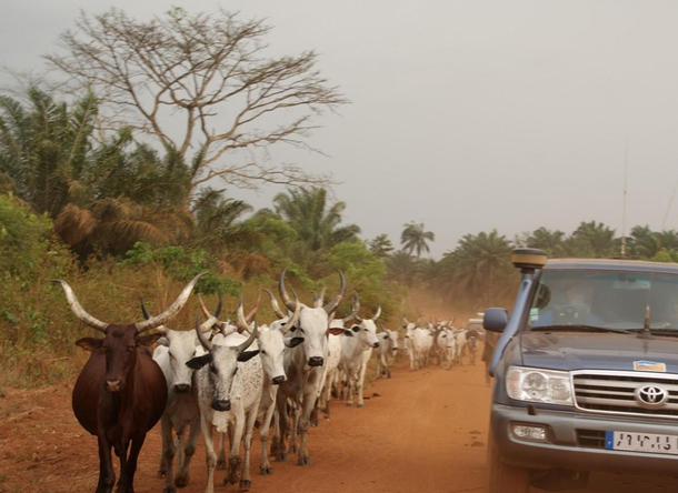 Il y a des demandes spécifiques de la part de certains groupes, comme ici la traversée d'une dizaine de pays d'Afrique de l'Ouest sur 6 semaines- DR : Voyageur Tout Terrain Il y a des demandes spécifiques de la part de certains groupes, comme ici la traversée d'une dizaine de pays d'Afrique de l'Ouest sur 6 semaines- DR : Voyageur Tout Terrain